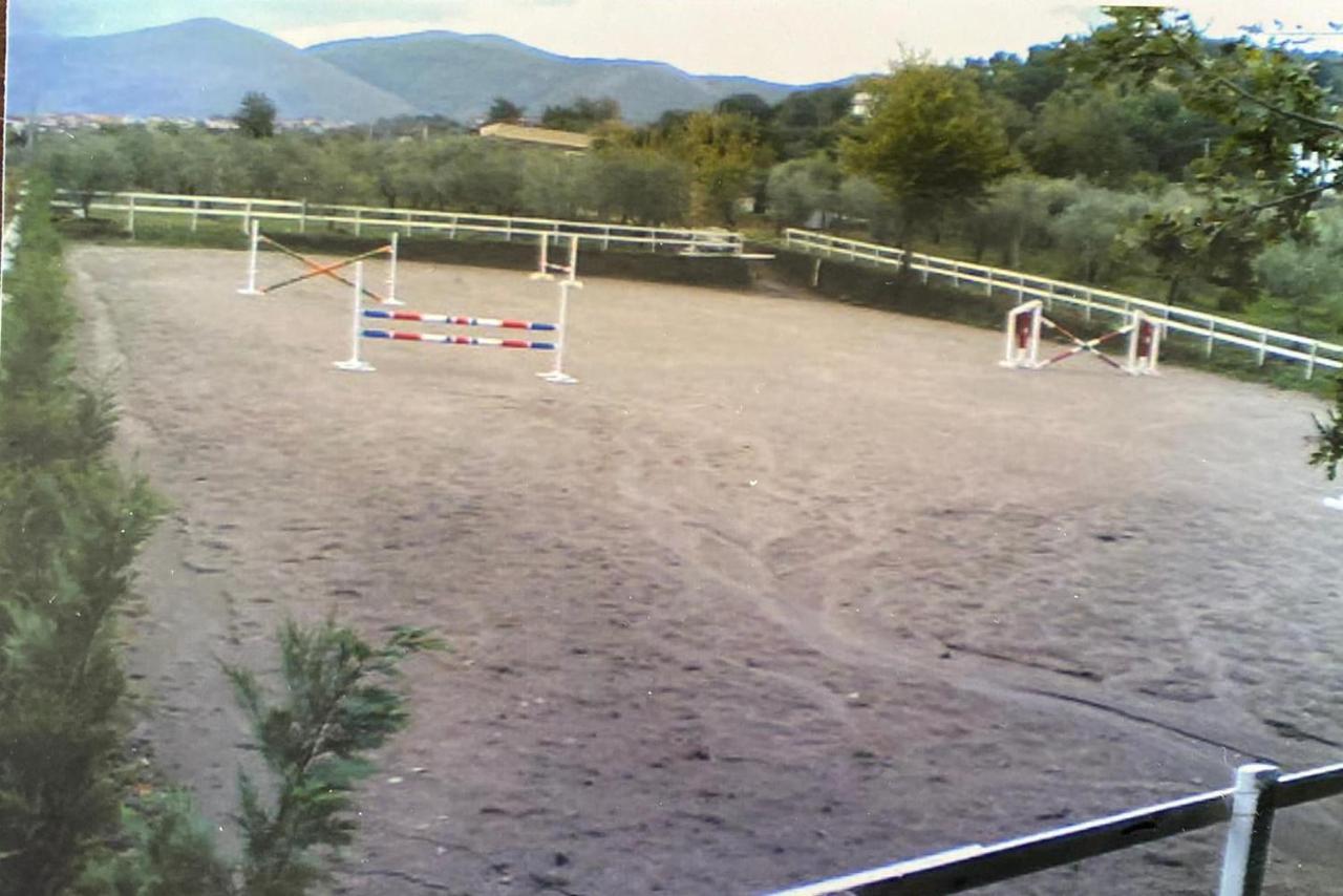 La Tenuta Del Barone Sant'Agata de' Goti Exterior photo